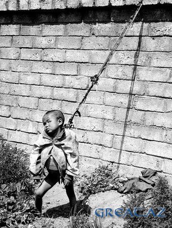 Дети на привязи в Китае