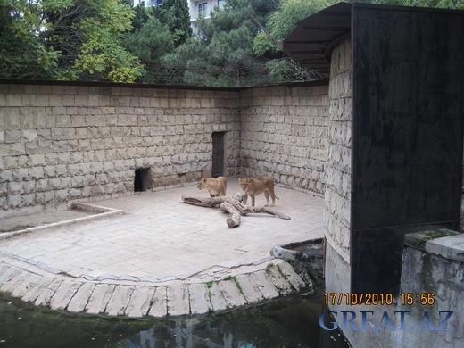 Наш поход в Бакинский Зоопарк