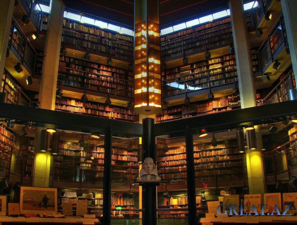 Удивительные библиотеки мира