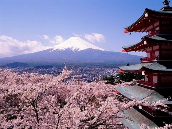 10 фактов про Японию и японцев