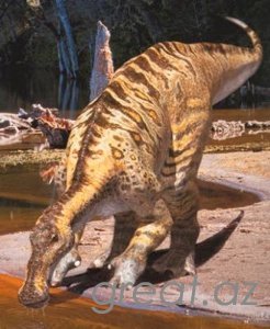 10 мифов о динозаврах