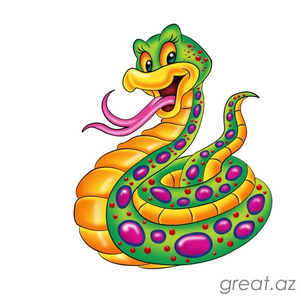 Картинки со Змеей - символ 2013 Нового года