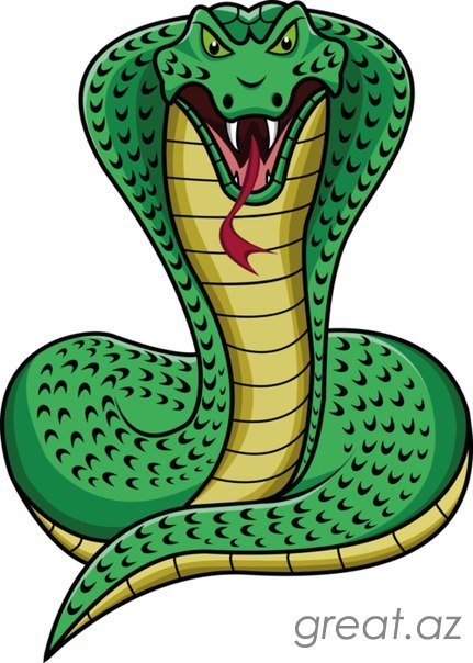 Картинки со Змеей - символ 2013 Нового года