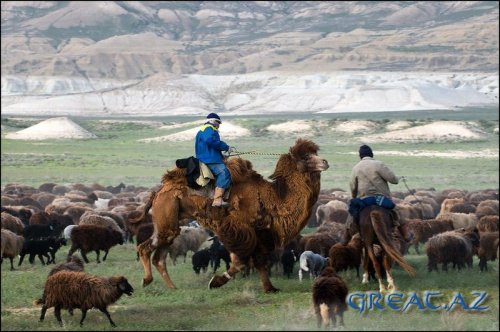 Западный Казахстан. Полуостров Мангышлак