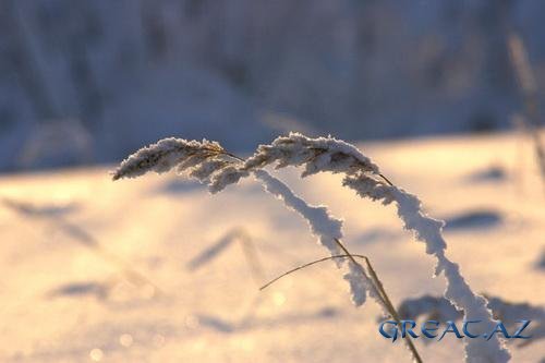 Красивые Зимние картинки ( 20 Фото