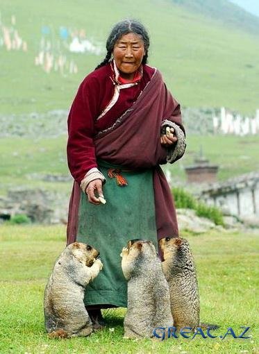 Фотографии из Тибета