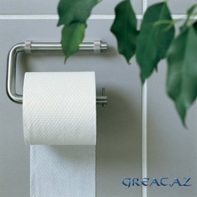 ТОП 10 фактов о туалетной бумаге
