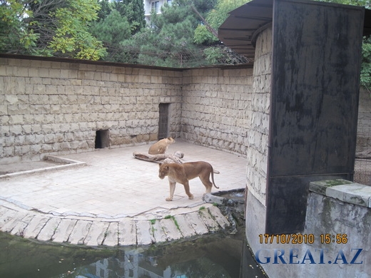 Наш поход в Бакинский Зоопарк