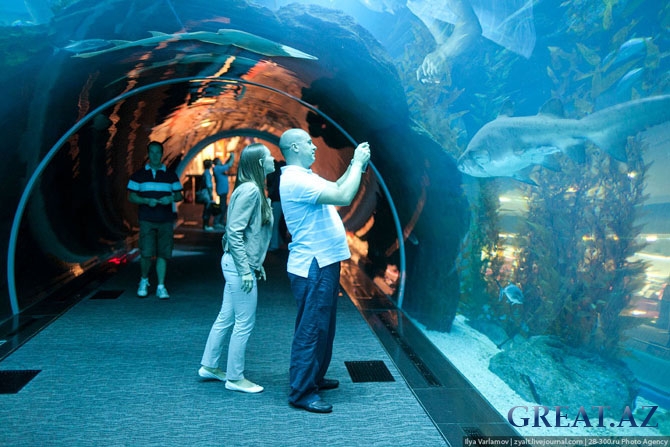Огромный аквариум в Дубае