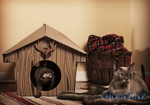 Картонные домики для кошек (6 фото)