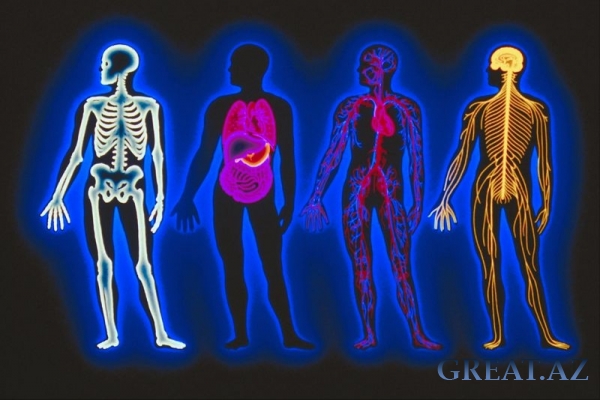 Возможности человеческого тела(организма)