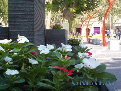 Обновленные Площадь Фонтанов, Молоканский сад и сад Хагани города Баку