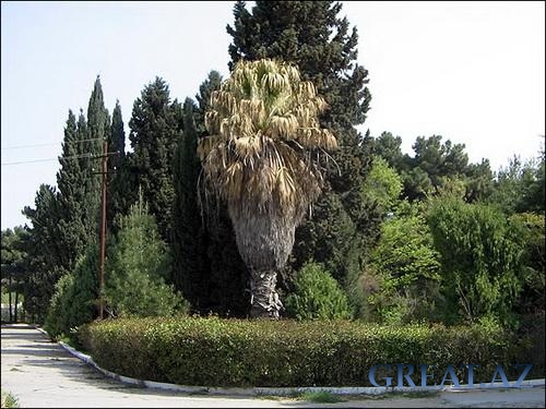 Бакинский ботанический сад