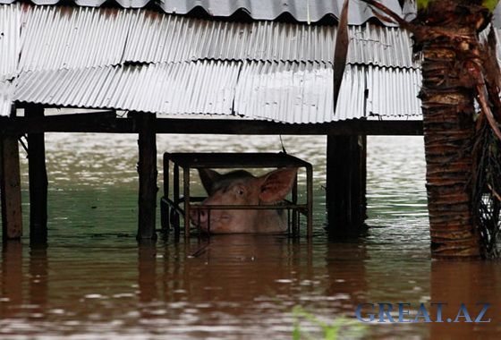 Наводнения и оползни в Таиланде