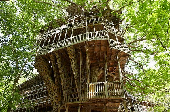 Самый большой в мире дом в дереве