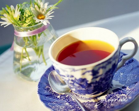 Как правильно заваривать чай? 11 золотых правил