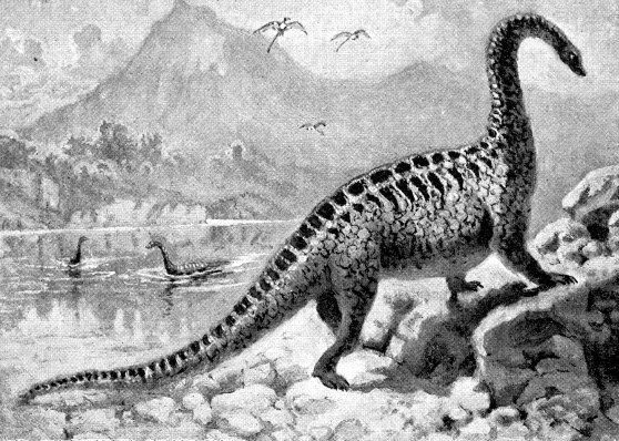 15 необычных доисторических существ