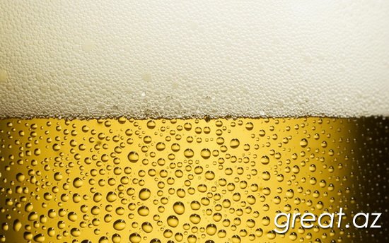 10 интереснейших фактов о пиве и вине