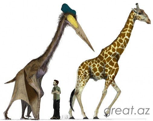 Самые странные доисторические животные