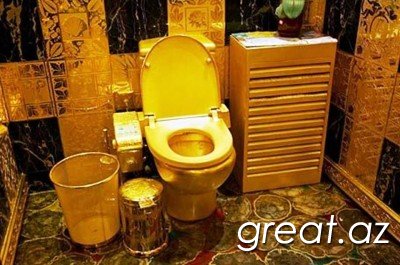 10 самых странных туалетов в мире