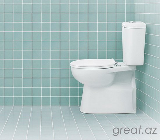 10 самых странных туалетов в мире