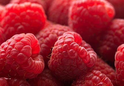 Какие ягоды полезны для здоровья