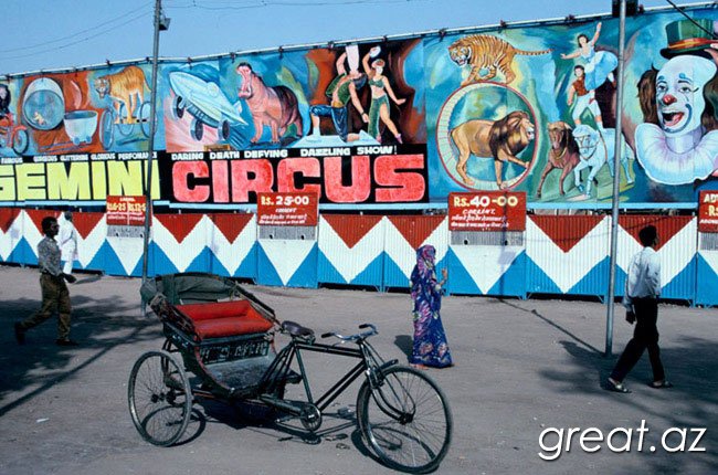6 самых интересных цирков мира