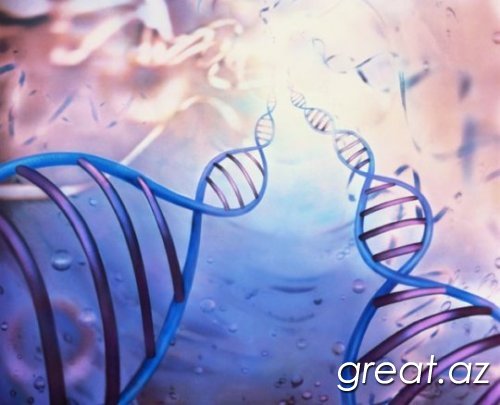 10 удивительных фактов про ДНК