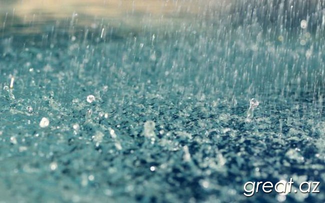 Красивые фотографии дождя (54 фото)