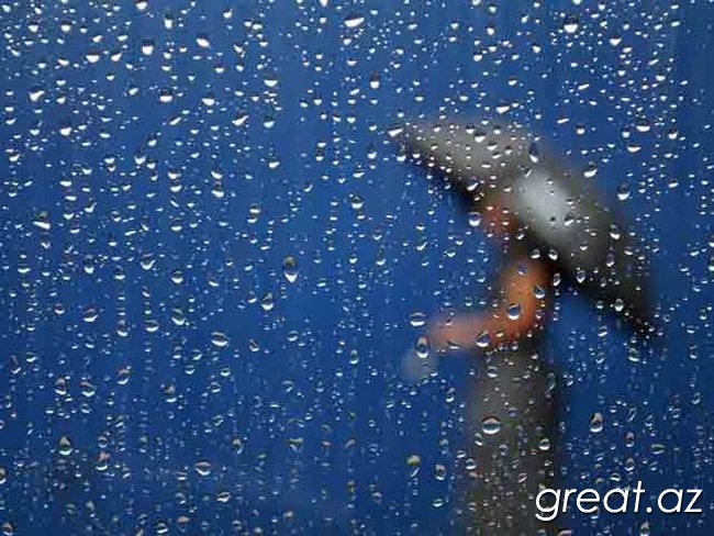 Красивые фотографии дождя (54 фото)