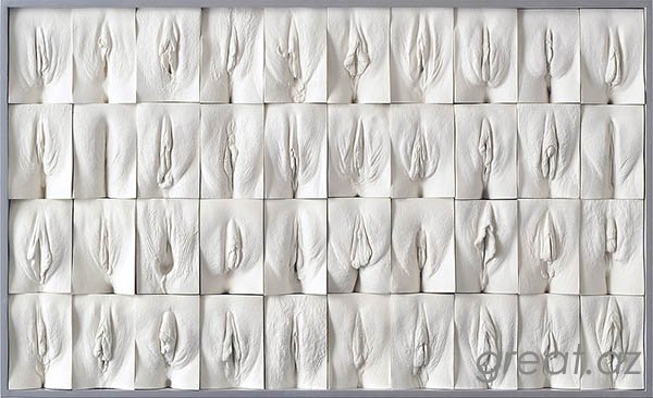 Британский художник создает слепки женских гениталий