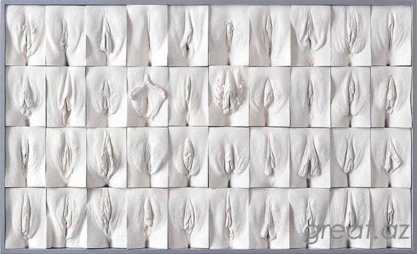 Британский художник создает слепки женских гениталий