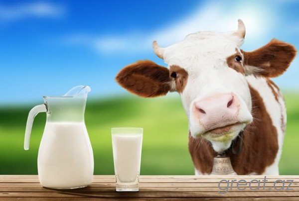 Как перевести молоко в литрах в килограммы