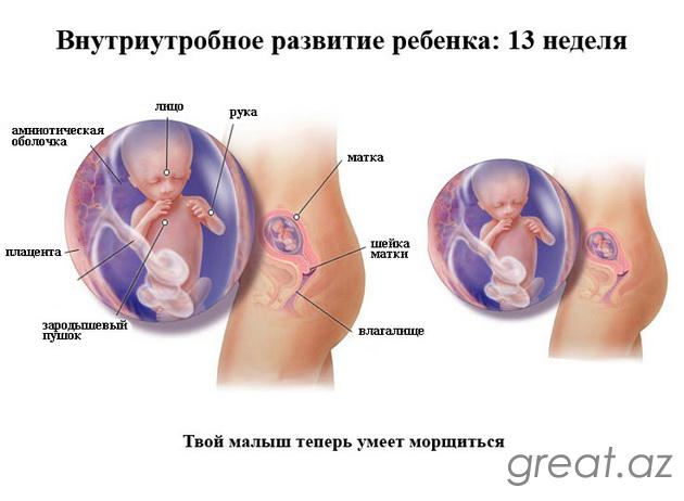 13 неделя беременности - ощущения, токсикоз, что происходит с мамой и плодом