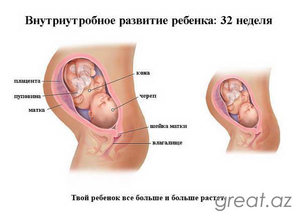 32 неделя беременности - описание, вес ребенка, что чувствует женщина