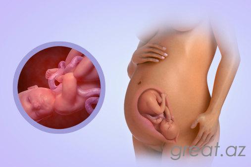 36 неделя беременности - предвестники родов, развитие