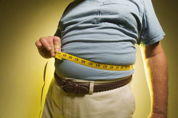 Что нужно для эффективной борьбы с лишним весом