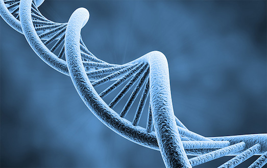 Что такое генетический тест?