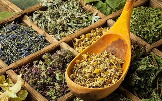 Сушеные лекарственные травы: самые полезные и эффективные