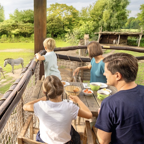 С чего начать планирование беременности: пошаговый чек-лист