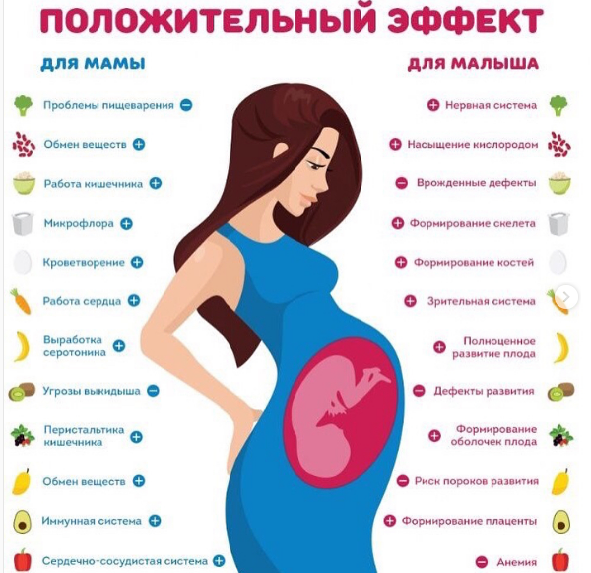 Как питаться во время беременности: Подробное меню по триместрам
